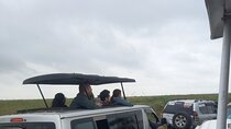 Wildlife safari at Nairobi National Park
