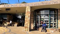 Cape Town Full Day Tour to Boulder Penguins and Cape of Good Hope