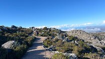 Cape Town Table Mountain Cableway Robben Island Tour with Ticket