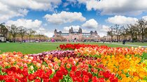 Private Tour Van Gogh & Rijksmuseum