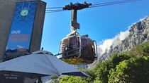 Table Mountain, Penguins, Cape of Good Hope: Private Tour