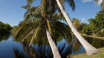 Private Tour Queen Elizabeth Botanic Park & Pedro St James Castle