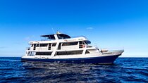 5-Day Galapagos Islands Cruise: Itinerary A (West) aboard the Monserrat Yacht
