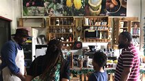 Authentic Limón: Downtown Walking Experience