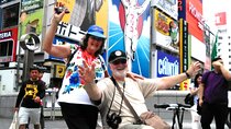 Barrier Free Osaka Private Full Day Tour for Wheelchair Users