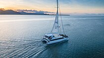 Cairns Catamaran Harbour and Dinner Cruise