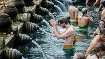 Ubud Small Group Tour: Monkey Forest, Tegalalang Rice Terraces and more