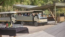 Aquila Real Safari And Wine Tasting Full Day Inclusive
