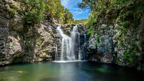 Lakes of Madeira Island Walk