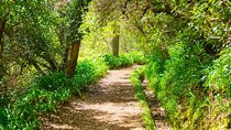 Paradise Valley Madeira Island Walk