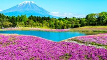 Mt. Fuji 5th, Oshino Hakkai, Onsen Full-Day Trip From Tokyo