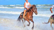 Ride Horses at the Beach with free transportation.