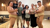 Tokyo 6hr Private Guided Tour & Sumo Show Dinner