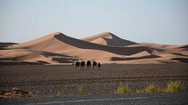 Private taxi for two days from Merzouga to Marrakesh