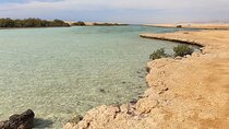 Sharm El Sheikh : White Island and Ras Mohamed Trip
