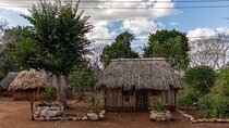 4x1 tour:Tulum/Coba,Cenote,Mayan Village& 5th Av Playa del Carmen
