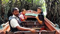 Half Day Private Exploration of the Beauty of Southern Coast