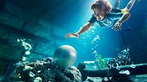 Abu Dhabi: Yas Waterworld Tour with Transportation