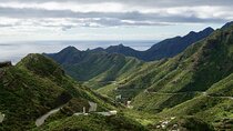 Exclusive Tenerife Highlights Shore Tour for Cruise Passengers