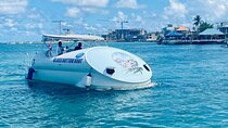 Oculus Glass Bottom Boat Tour 