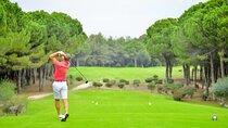 Active 1 Hour Private Professional Golf Tour in Streamsong