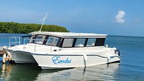Starfish Encounter & Mangrove Exploration in Grand Cayman