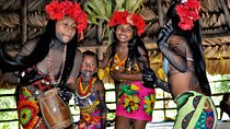 Panama City Embera Village and Jungle Waterfall Rainforest Tour