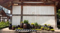 Guided Gyeonggido Bucheon Gimpo Night Tour