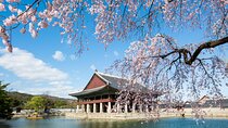 One day Essential Seoul City Tour with English or Spanish