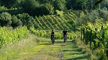 Montecarlo E-Bike One Day Tour with Lunch and Tasting