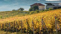 From Bucharest: Exclusive Wine Tasting Tour in Dealu Mare
