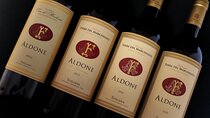 Verticale Aldone Wine Tasting and Winery Tour in Bolgheri