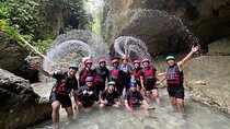 Cebu Shared Tour From Whaleshark Encounter to Nature Adventure