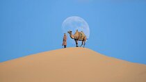 Semi Gobi and Khustai National Park 2 nights and 3 days trip