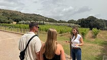 Alcudia Vineyard Tour and Exclusive Wine Tasting Experience