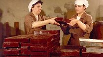 Willy Wonka in Turin A chocolate adventure