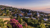 Kingston’s Cultural Pulse: Private Full-Day Tour