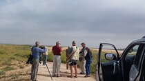 National Park Souss Massa 1/2 Day Trip From Taghazout