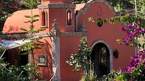 Puerto Vallarta Botanical Garden Tour with University Biologist