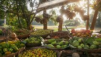 Siem Reap City Explorer: Royal Sites to Local Markets