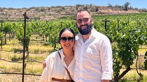 Alcantara Estate Vineyards Tasting Experience