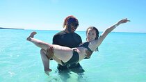 Public Paradise in Saona Relaxation and Adventure on Dream Beaches