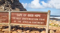 Private Half Day Cape Peninsula Tour 