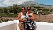 Vesuvius Wine Tasting Experience with Lunch Included