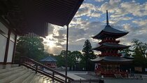 Narita Airport Layover Transit: Guided Private Tour