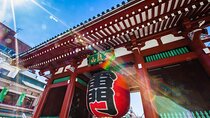 Private Full-Day Guided Tour in Tokyo: Customized Just for You