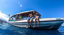 3 Hour Big Island Dolphin Watch Boat Tour, Snorkeling & BBQ Lunch