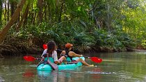 Paddle Through Paradise: Mangrove Kayak Adventure