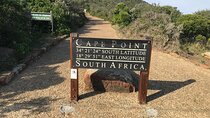 Cape Of Good Hope and Boulders Beach Penguins Private Day Tour