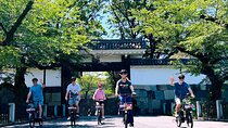 Tokyo 3-Hour: Off the beaten path E-bike tour with Local guide